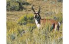 Property photo 14 - 92,312+/- Acres Offered in 14 Tracts
